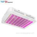 WENYI wholesale best selling 640w led grow light